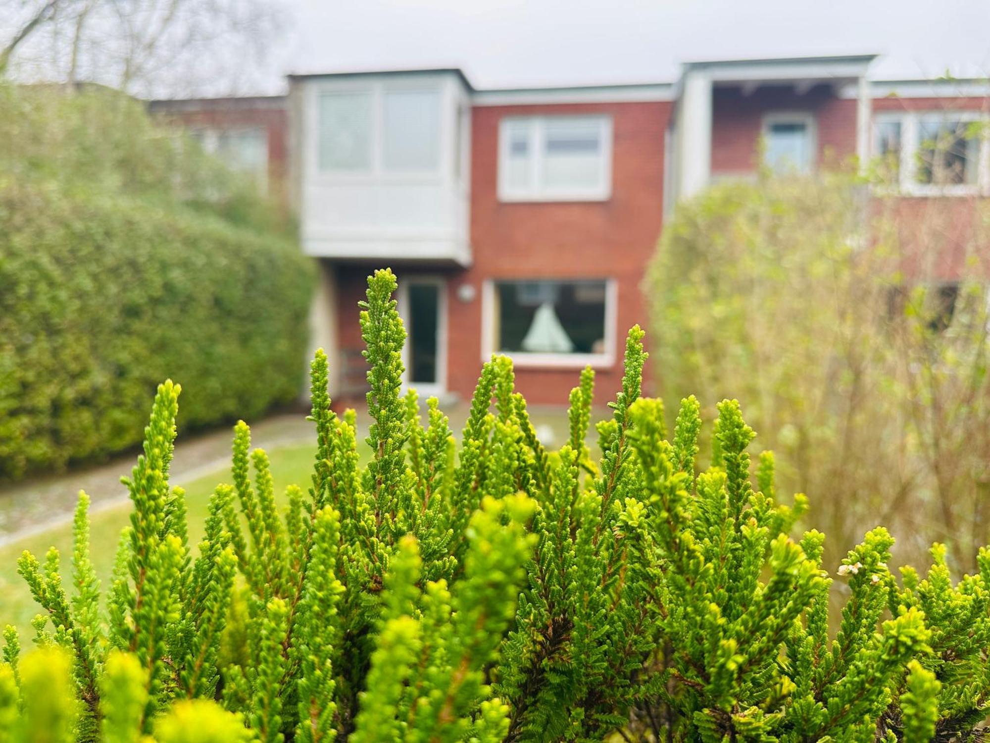 Haus Helma - Wohnen Sie Familiaer Villa Westerland Buitenkant foto